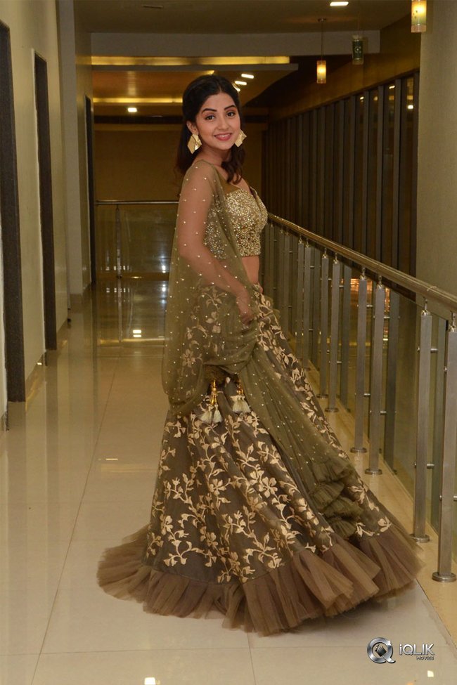 Kashmira-at-Nartanasala-Pre-Release-Event